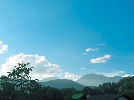 The view