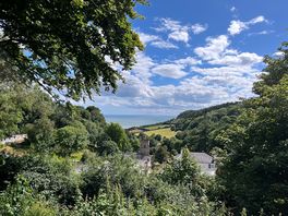 View point
