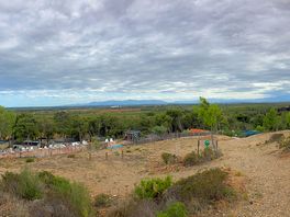 Nice viewing point from top of the site.