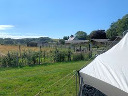 View from the tent