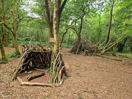 Our second attempts at dens!
