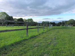Horse fields