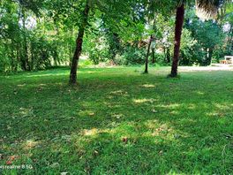 Pitches shaded by trees