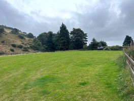Field
