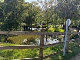 The lake