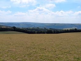 View south over rolling hills to clear horizon
