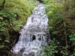 Waterfall in the country park