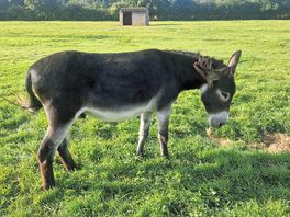 Should have taken more pics of the animals... so many to see