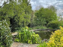 Pond near the hut