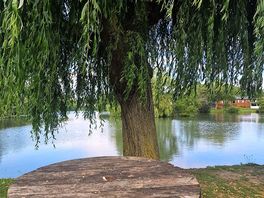 Smaller lake view