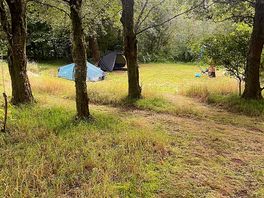 Peaceful amongst the trees..