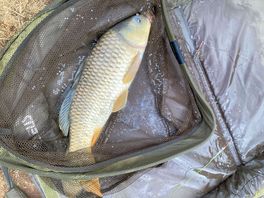Catch of the day