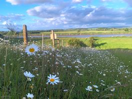 Along the footpath by the campsite