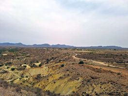 Panoramic view every way you look