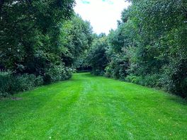 Walks nearby