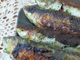 Sardines
