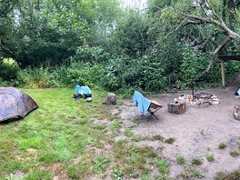 Camping in the woodland clearing