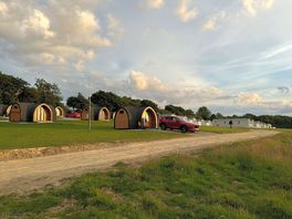Pods