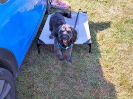 Milo enjoying his stay.