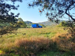 Blue van seen through low hanging branches