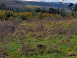 Promenade aux abords du camping