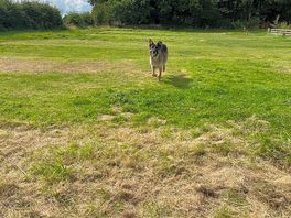 Frank enjoying the site