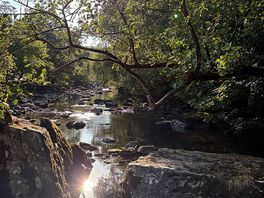 The river flowing through the site