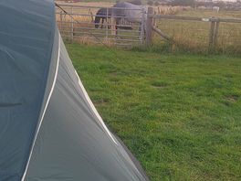 We pitched up close to the horses which was lovely.