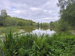 One of the lakes