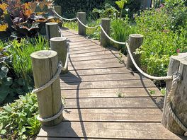 Reflection garden