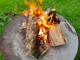 Logs provided by the owner