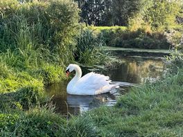 Beautiful river walk