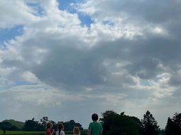Looking for redkites