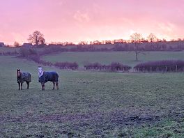 Beautiful sunrise