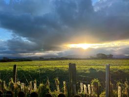 Sunrise over snowdon, view from the back of my van.