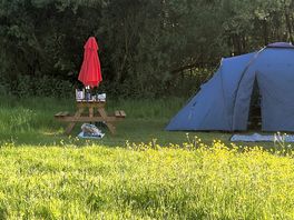 Our pitch