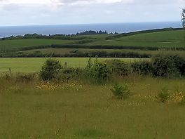 Veiw from site woolacomb bay