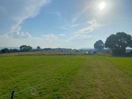 Sun and peace