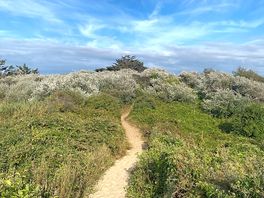 Walking back from the beach
