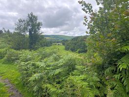 Great walks