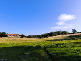 View of the farm