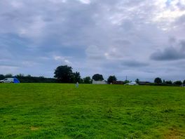 Top field