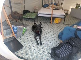 Bell tent inside