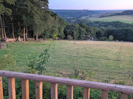 View from the pod