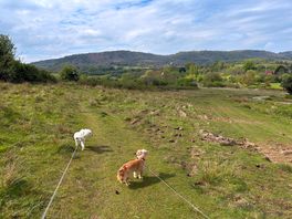 The common adjacent to the site.