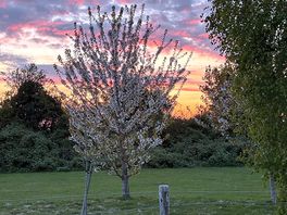 Lovely sunset