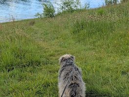 Looking out at the lake.