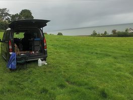 The site