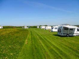 Grass pitches