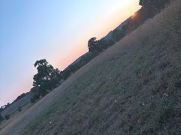 Sunset and peace